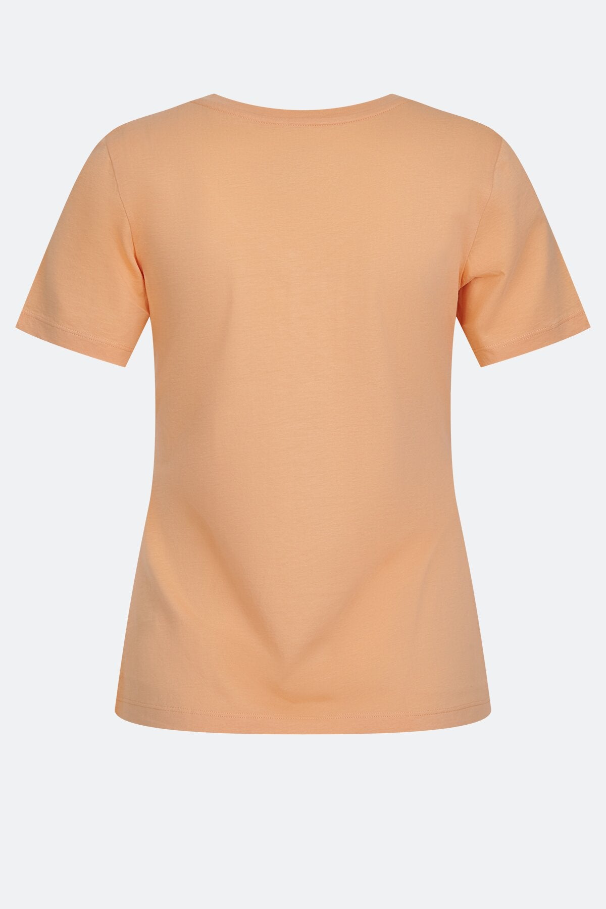 Pack of 2 T-shirts with V-neck