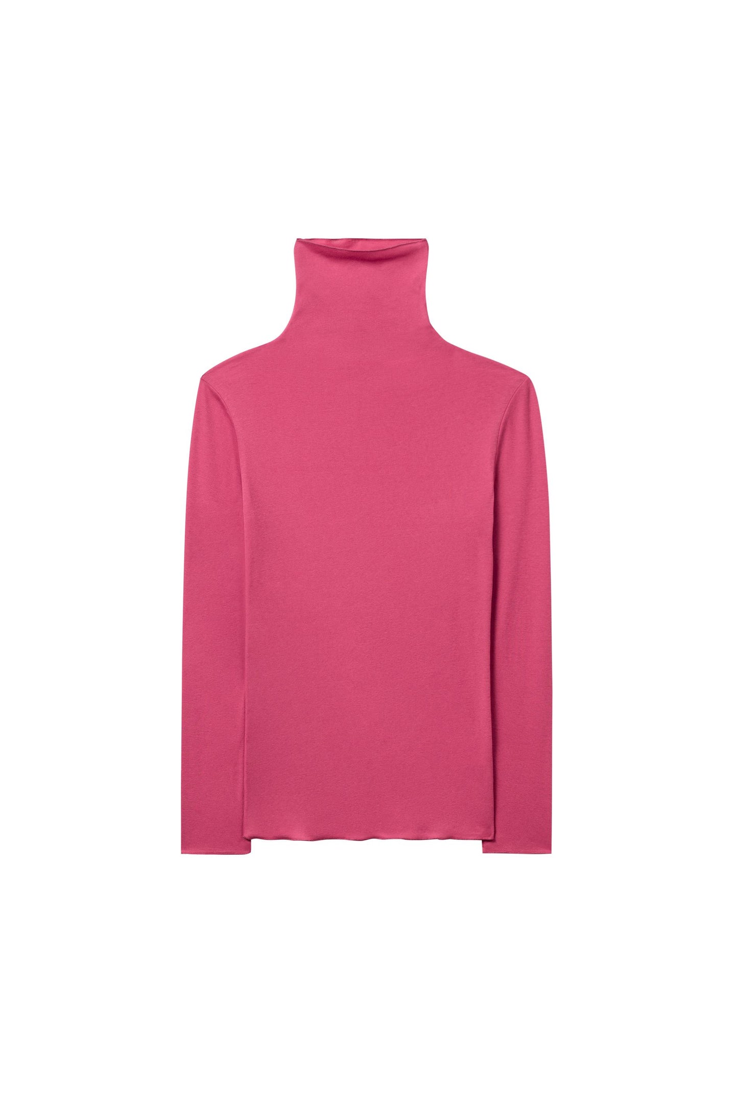 Sweater with Turtleneck