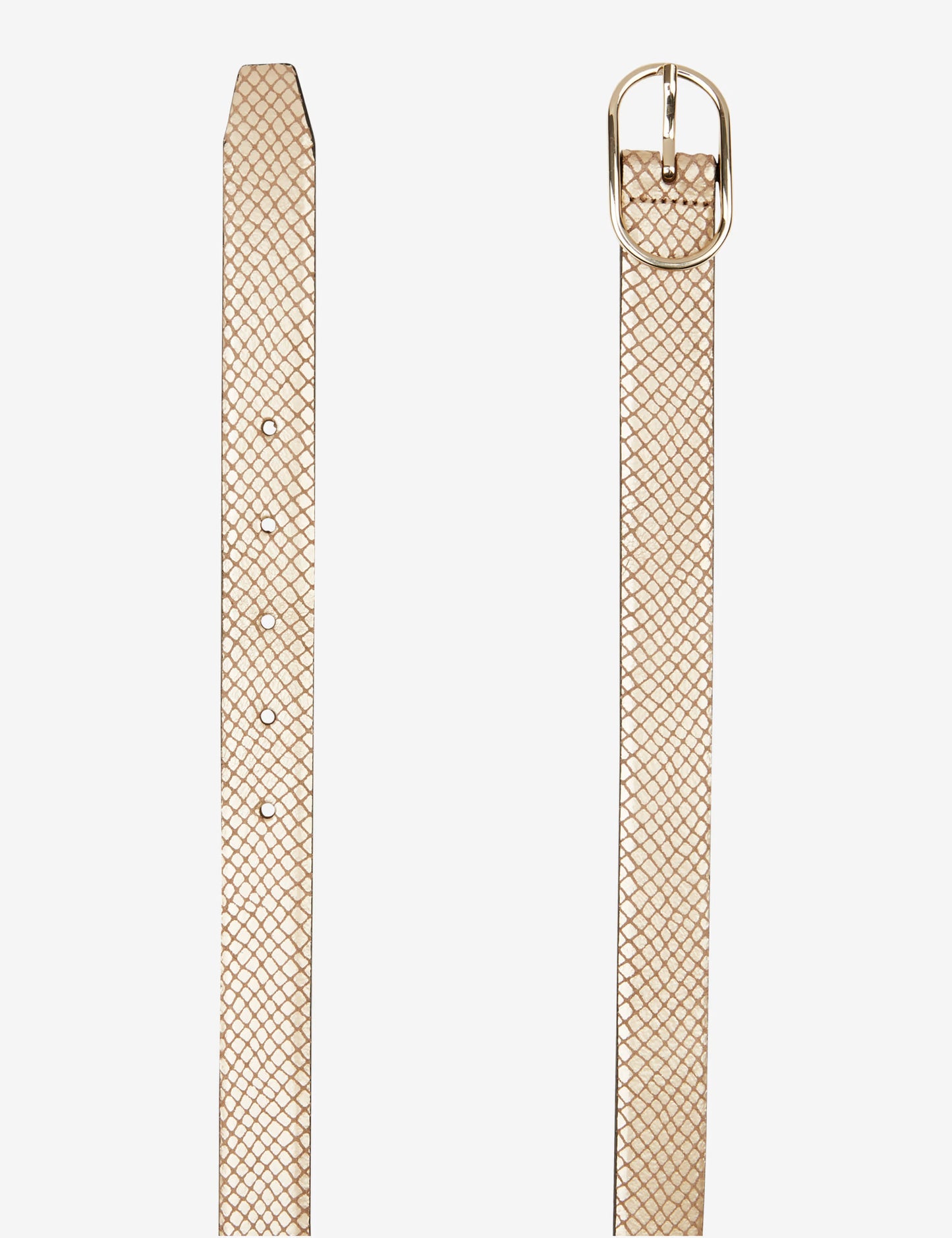 Metallic snake: Belt Made of High Quality Leather