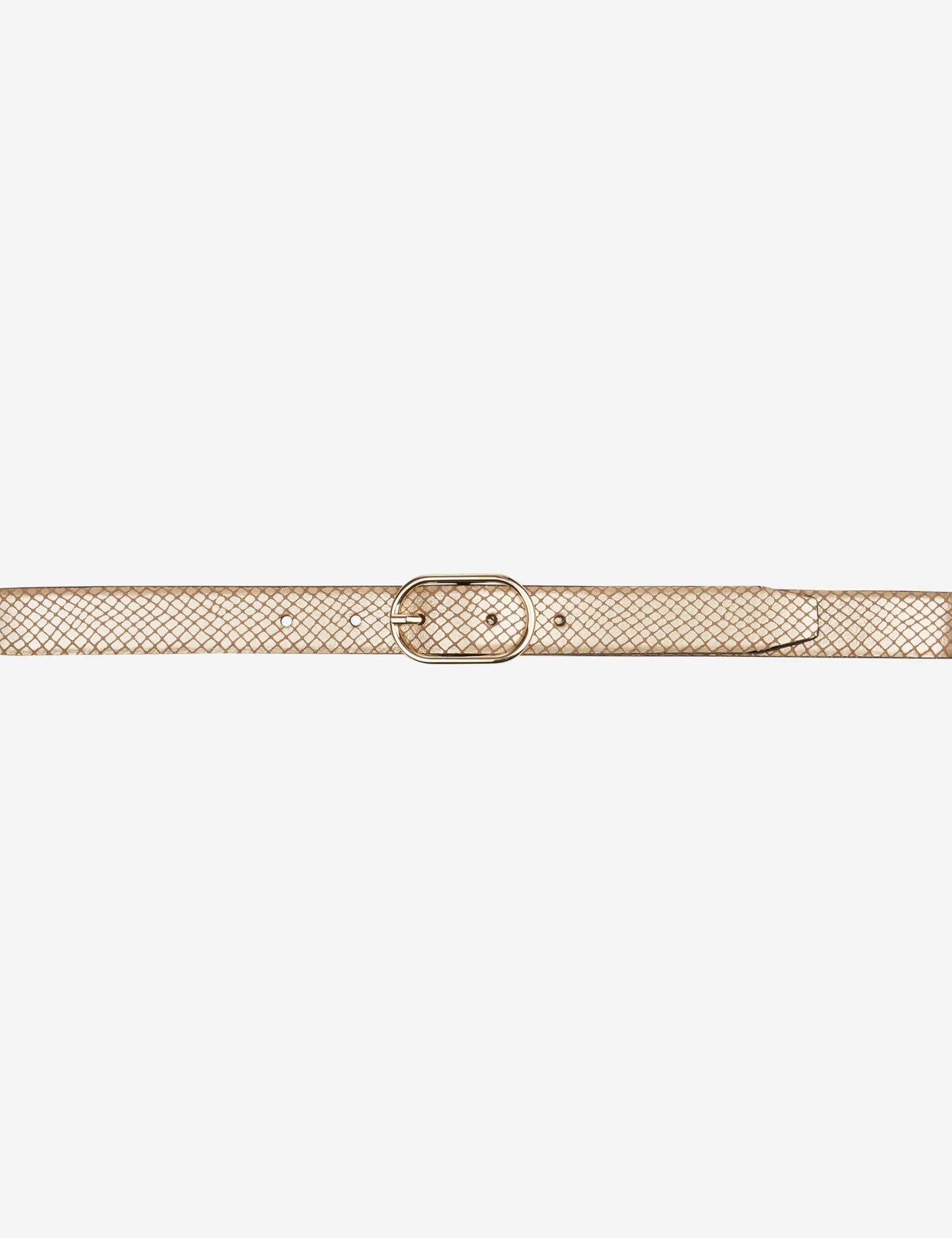 Metallic snake: Belt Made of High Quality Leather