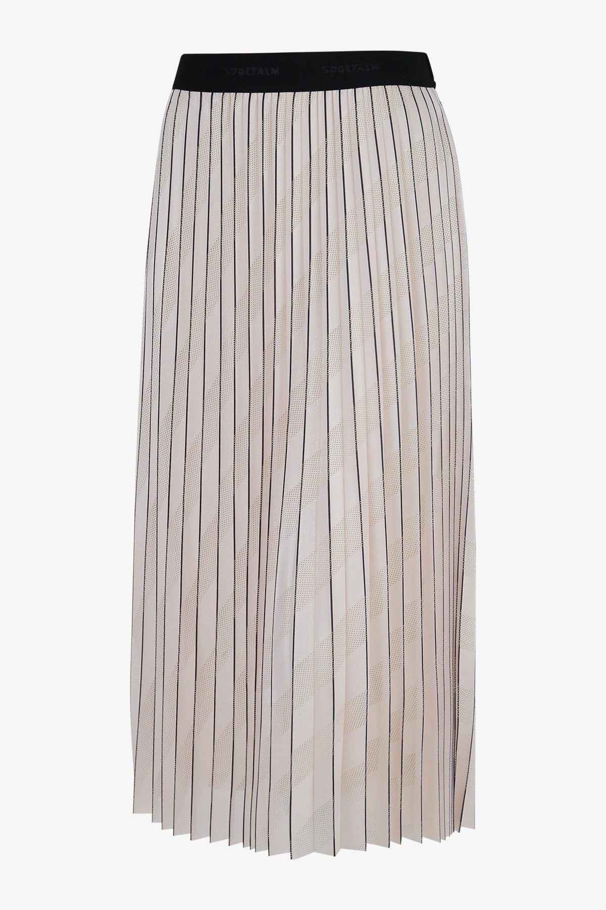 Long Pleated Skirt