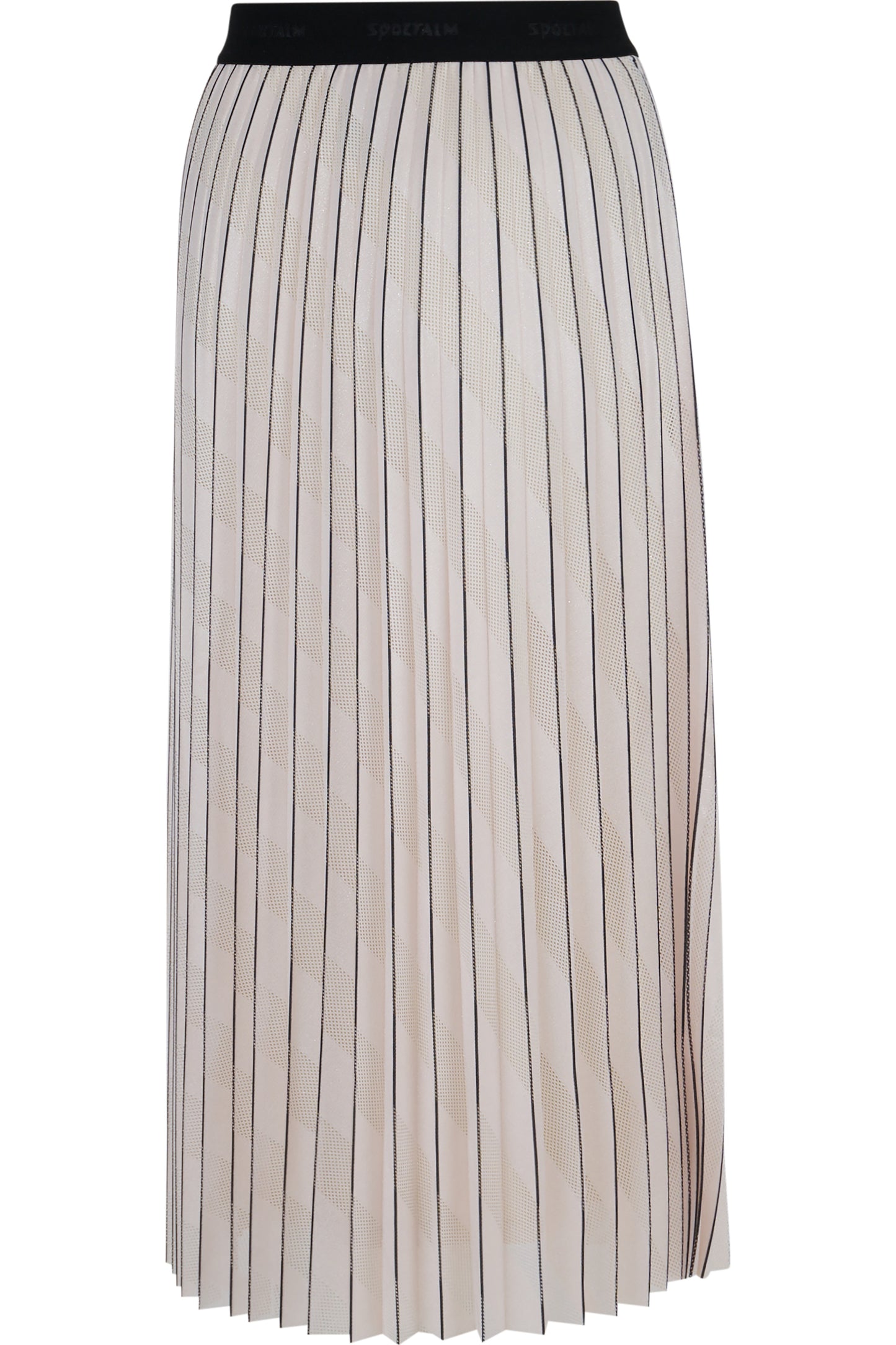 Long Pleated Skirt