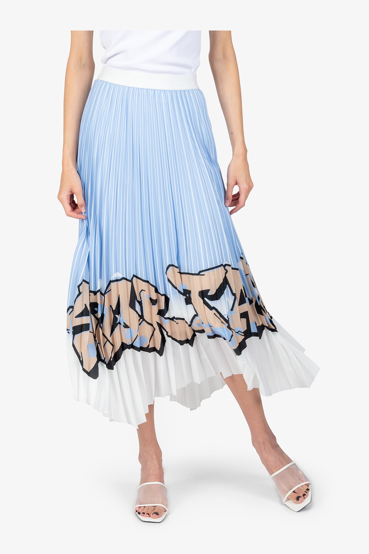 Long Pleated Skirt