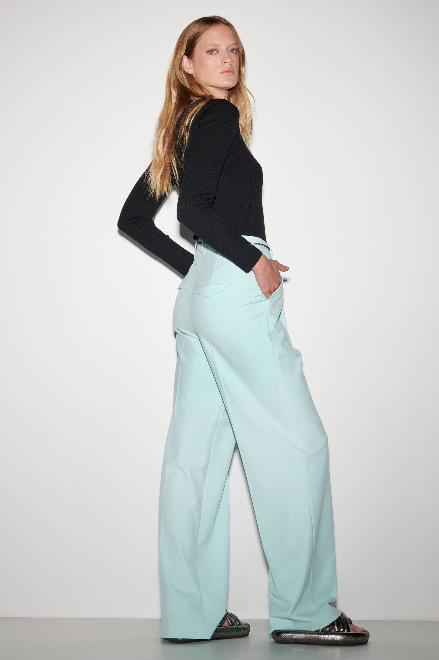 Wide-Leg Pants with Pleats