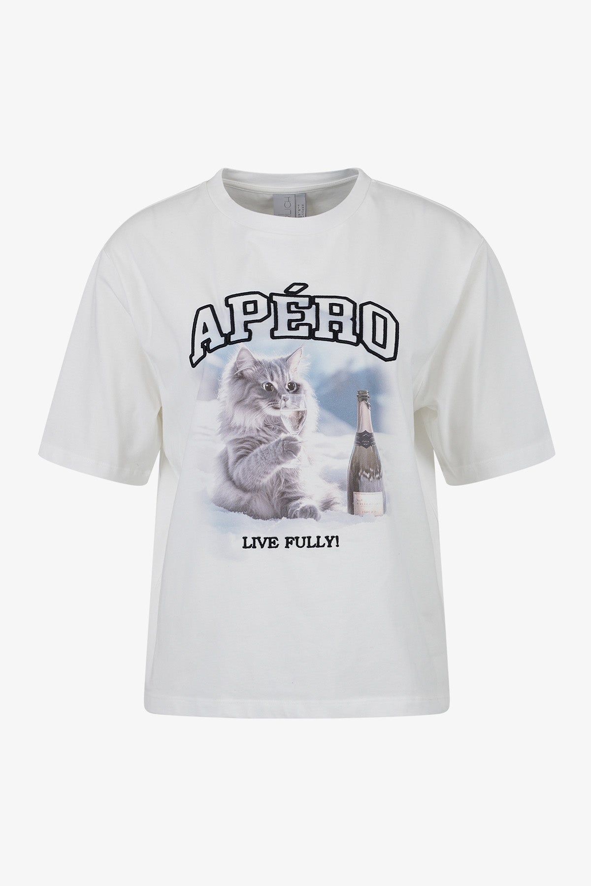 T-shirt with Print and Embroidery