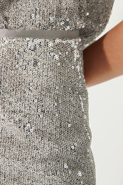 Skirt  with Sequins